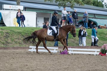 Bild 346 - Pony Akademie Turnier